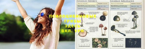 Альфа ПВП Богородск