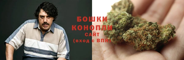 Альфа ПВП Богородск