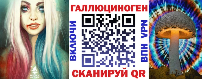 Купить закладки  Котельники  Псилоцибиновые грибы Psilocybine cubensis 